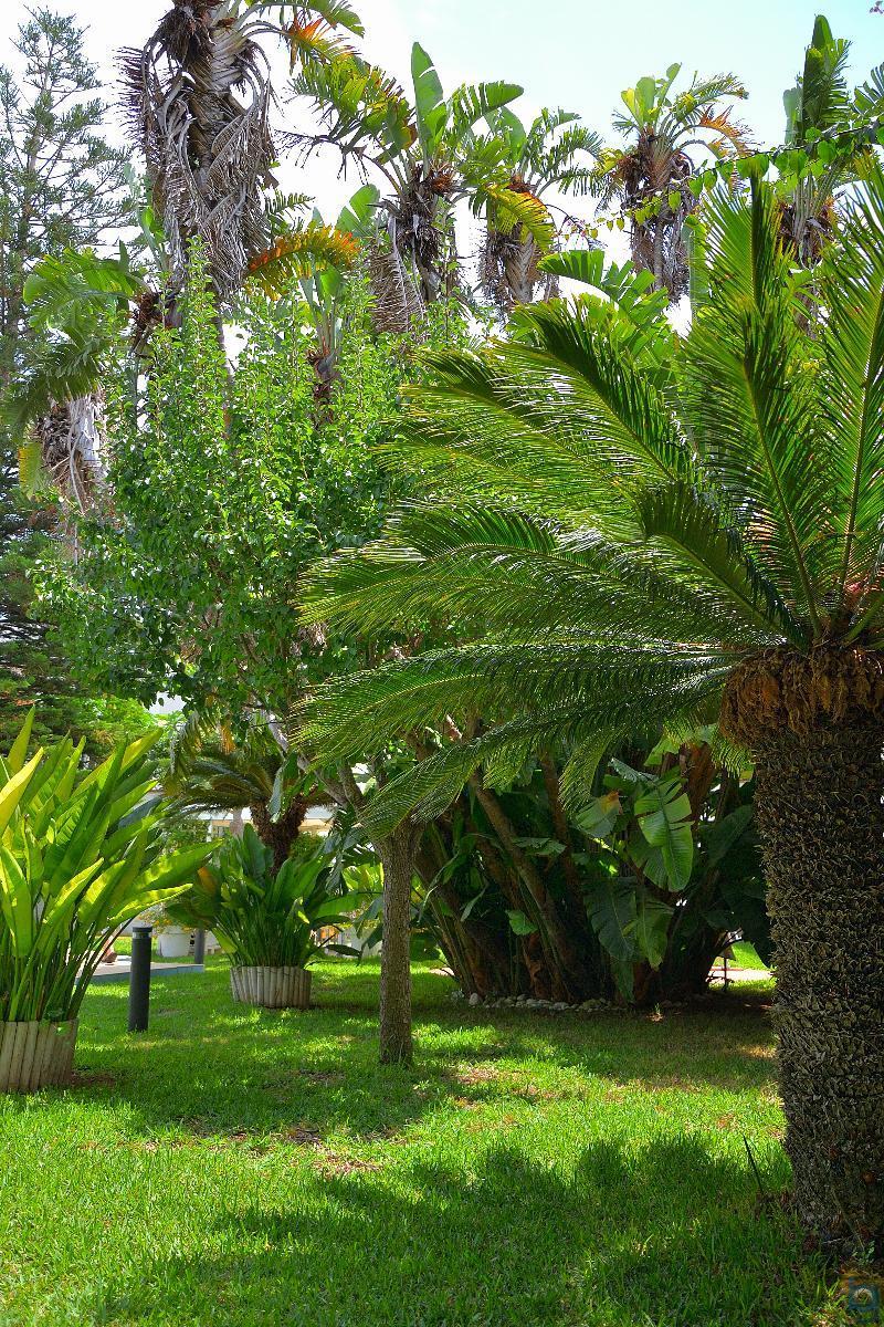 B&B Mondello Resort Kültér fotó
