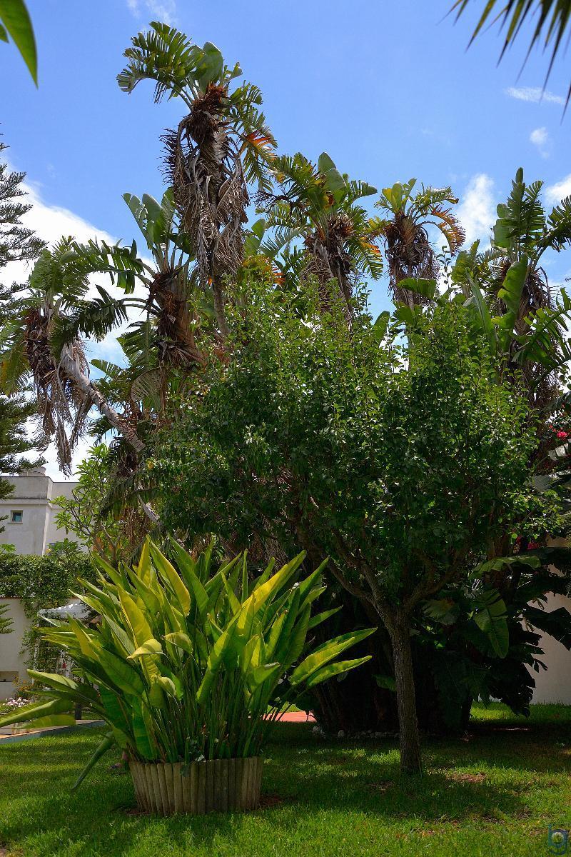 B&B Mondello Resort Kültér fotó