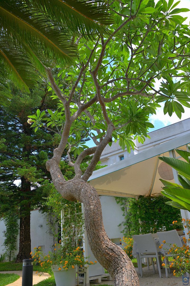 B&B Mondello Resort Kültér fotó